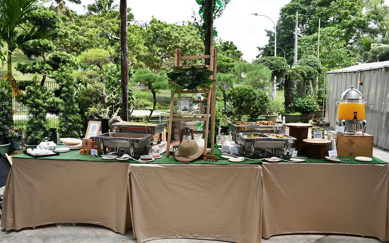 Eco-friendly outdoor buffet setup with sustainable decor and theme.