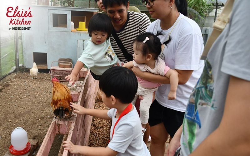 Families visiting local farms supporting sustainable event catering.